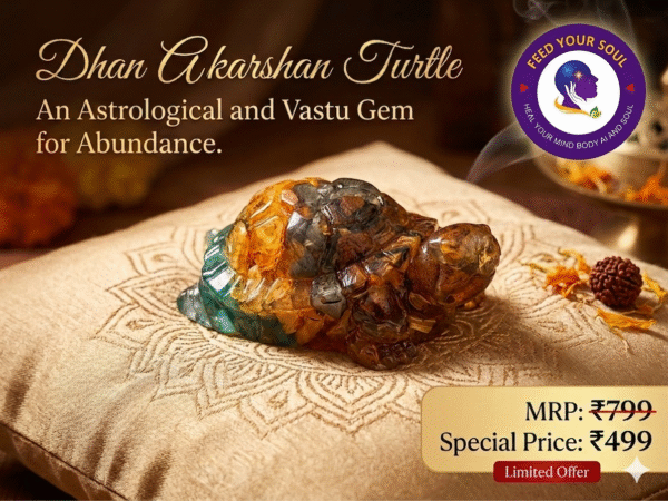 Dhan Aakarshan Turtle